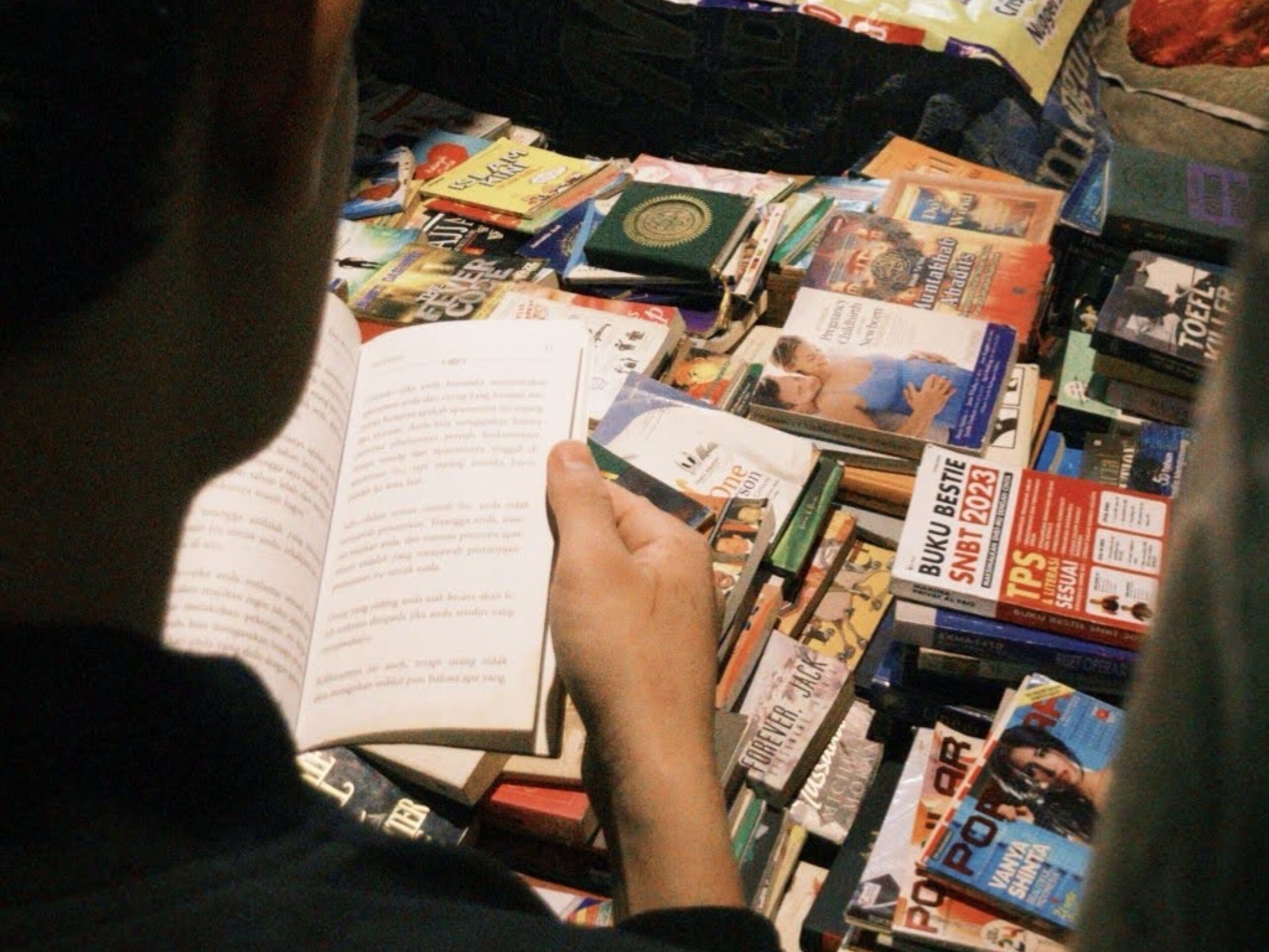 How to Read like a Human Being